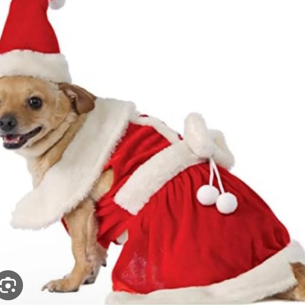Holiday mrs Claus for cat or dog xxsmall bling collar and hat Christmas - Picture 1 of 7